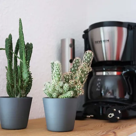 Kleines Am Uni-campus - Perfekt Fuer Junge Unternehmungslustige *