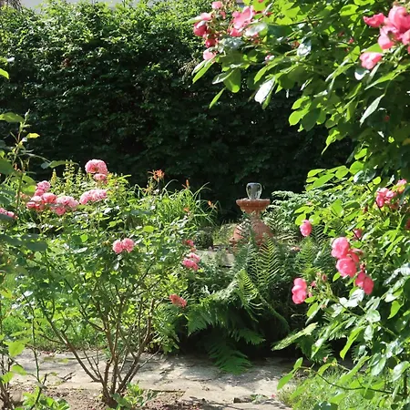 Apartmán Kleines Am Uni-campus - Perfekt Fuer Junge Unternehmungslustige *