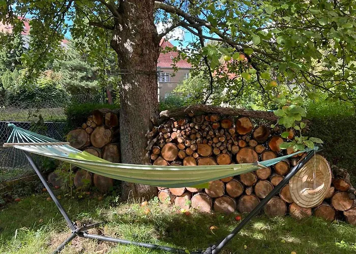 Apartman Kleines Am Uni-campus - Perfekt Fuer Junge Unternehmungslustige Drezda