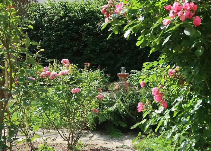 Апартаменты Kleines Am Uni-campus - Perfekt Fuer Junge Unternehmungslustige *